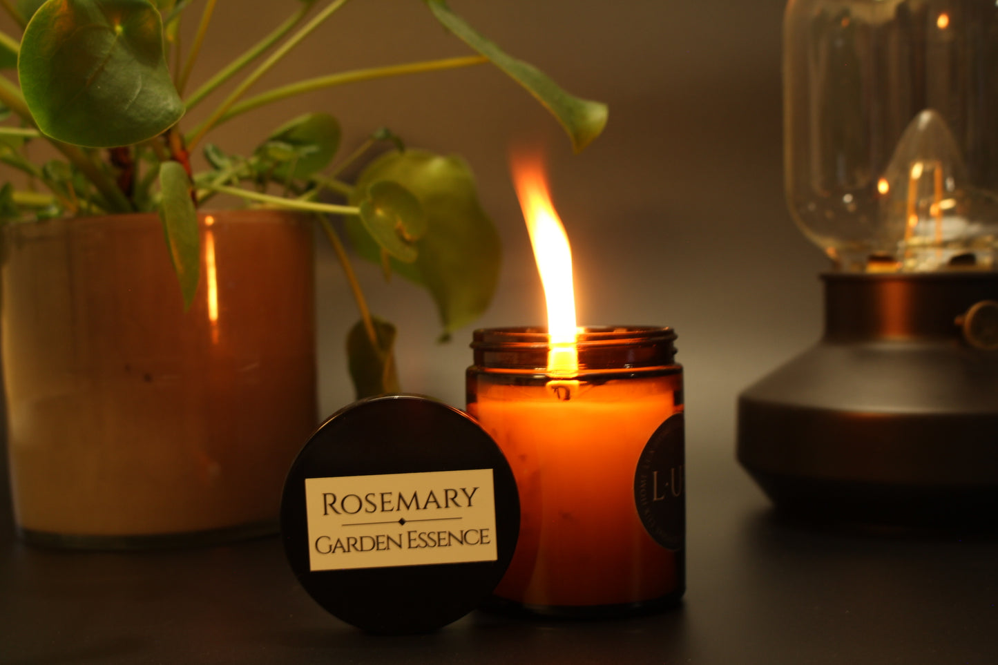 Rosemary - Garden Essence